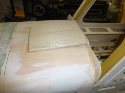 Canopy (26)